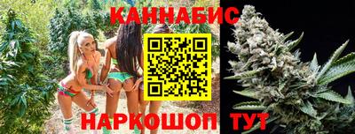 стафф Будённовск