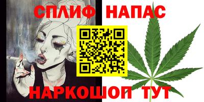 стафф Будённовск
