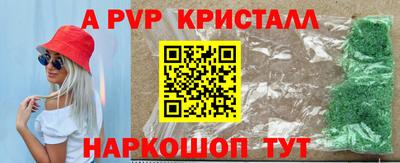 стафф Будённовск