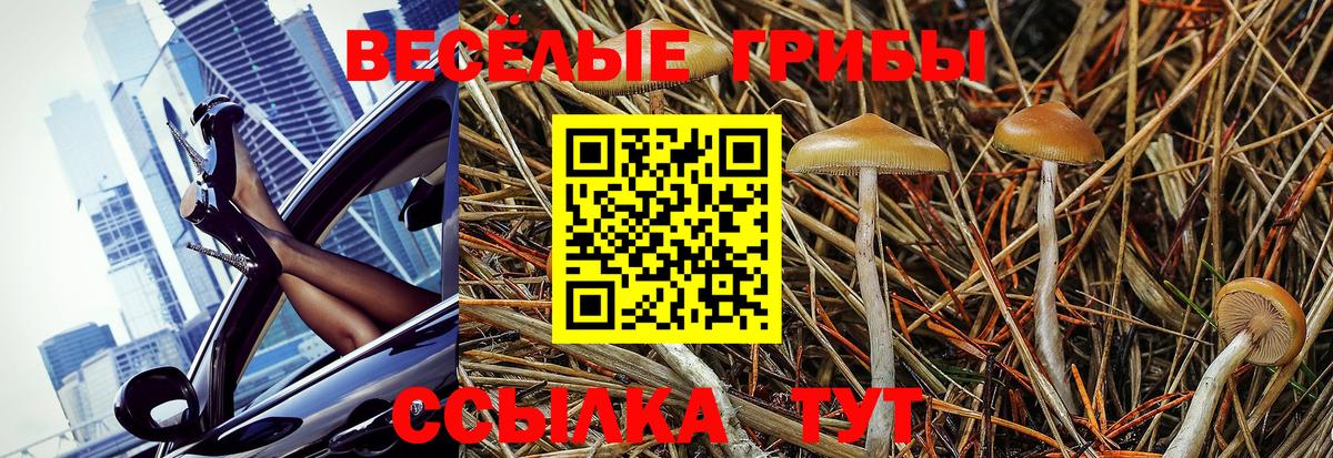 Псилоцибиновые грибы Psilocybine cubensis  Вход с VPN  Галлюциногенные грибы Psilocybe  Ногинск 